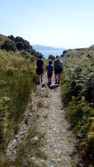 LG_download_14July2018 069