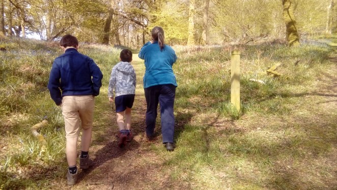 LG_import_15May2018 061