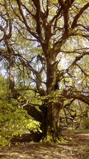 LG_import_15May2018 067