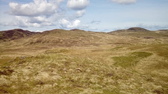 LG_import_15May2018 069