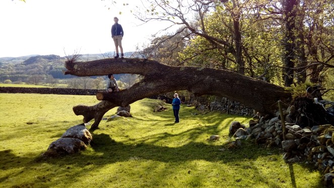 LG_import_15May2018 078