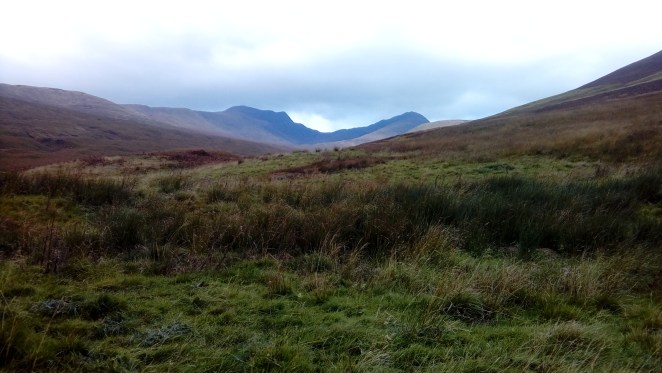 LG_import_22Sep2018 001