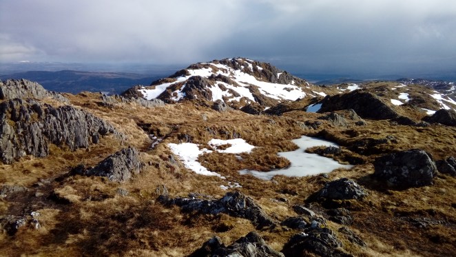 LG_import_24Mar2018 038