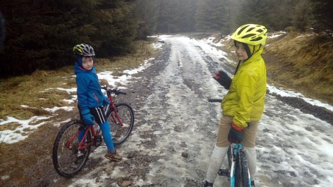 LG_import_9Mar18 076